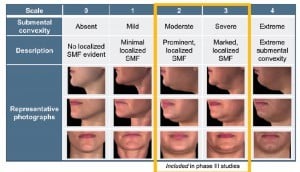 Figure 1 The Clinician-Reported Submental Fat Rating Scale (CR-SMFRS).   SMF = Submental fat