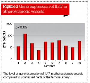 IL-17 Gene Expression Levels in Atherosclerosis and Psoriasis | PRIME ...