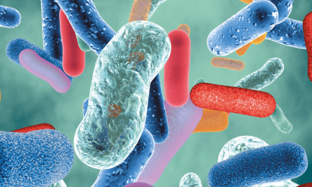 gut microbiota  and human health