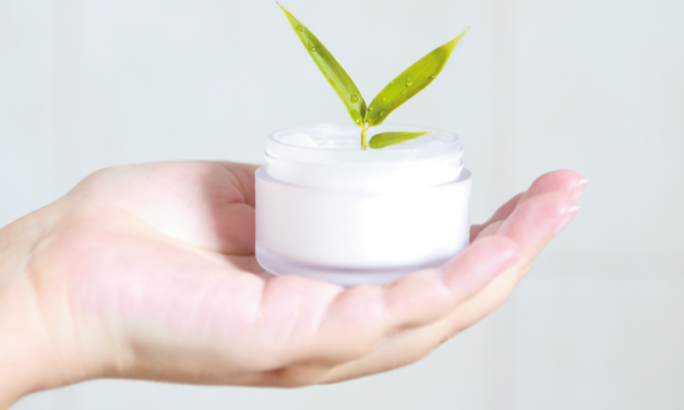 THE BUSINESS OF CLEAN BEAUTY GUIDELINES FOR SKIN CARE PROFESSIONALS